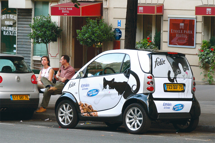 cat car