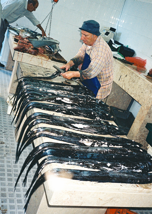 Fish Market