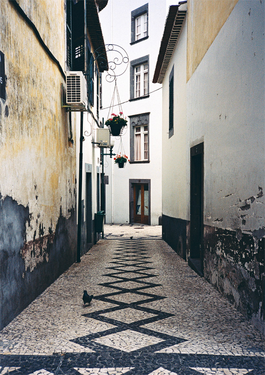 Street Funchal