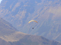 021-Glider